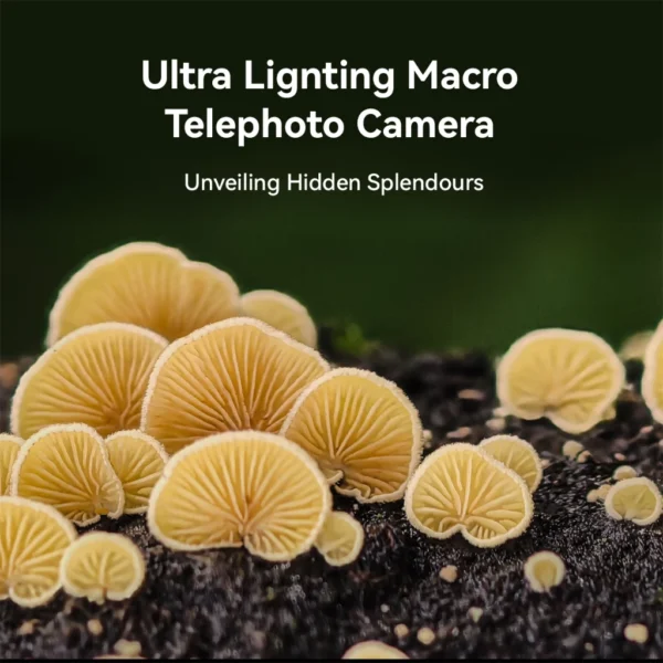 my-11134207-7r98q-luqff8j9rzoz70.webp HUAWEI Pura 70 Pro Smartphone | 12GB + 512GB | Ultra Lighting Macro Telephoto Camera